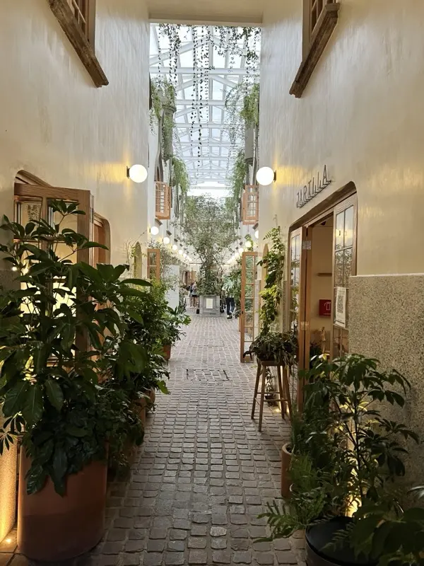 Roma Norte area